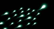 sperma