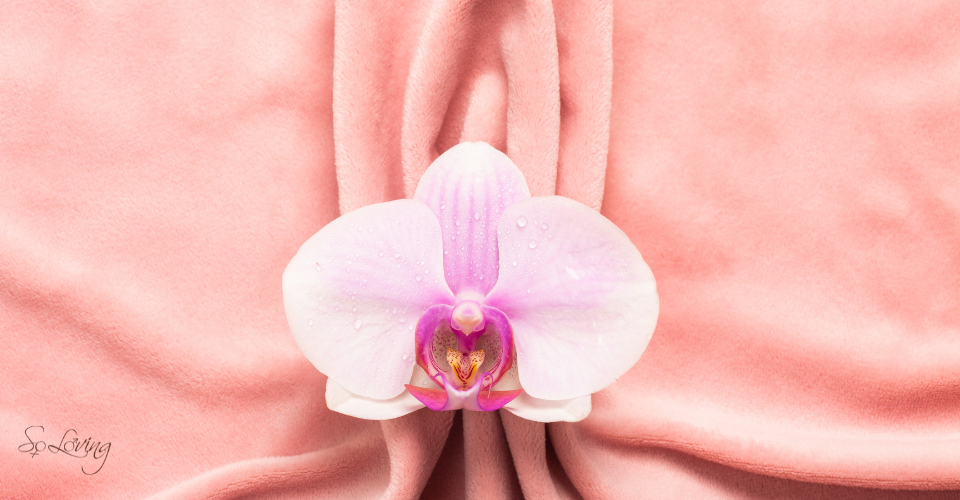 Clitorale vs. vaginale orgasmes: Wat werkt het beste voor jou?