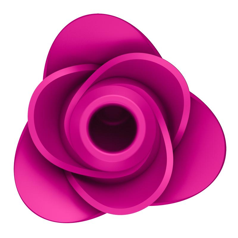 Satisfyer pro 2 modern blossom