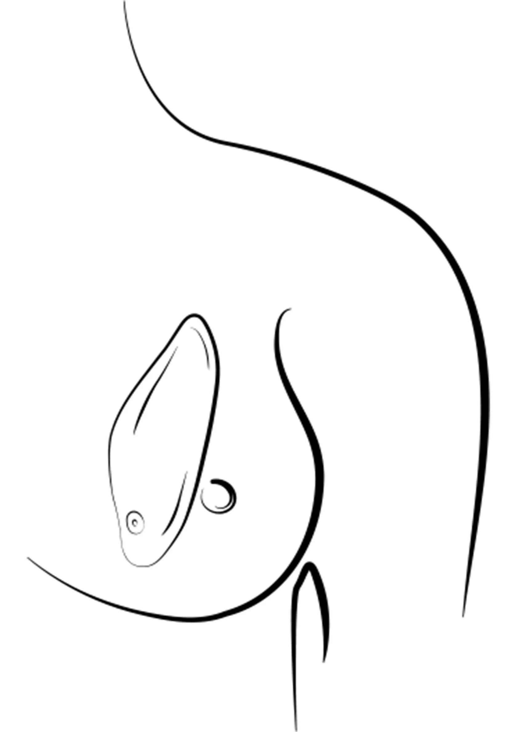 Oplegvibrator Wave - ROMP
