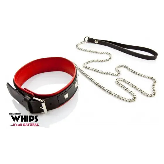 Collar and leash zwart met rood - Whips